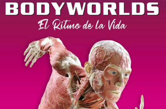 body-worlds-ifema 700x460